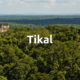 Tikal Archaeological Site – Guatemala