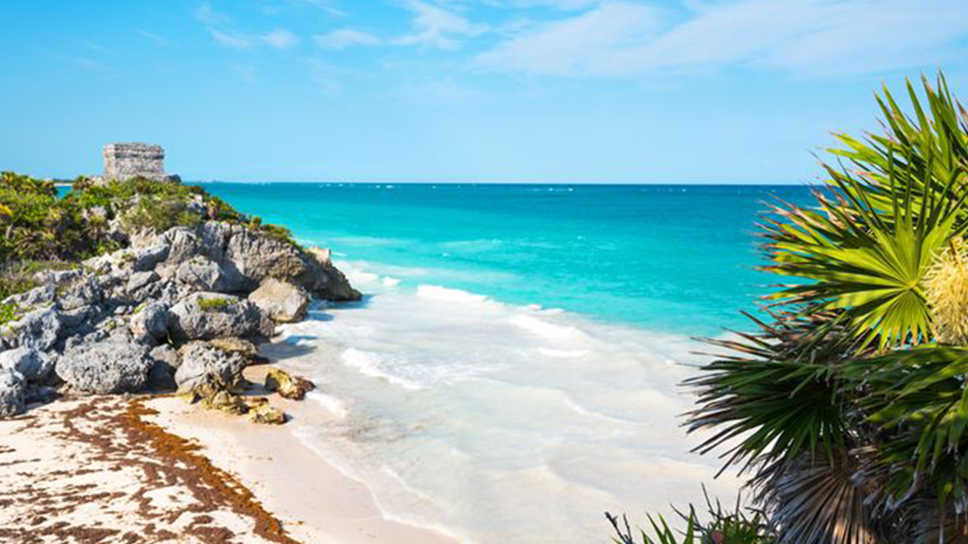 Tulum-private-tours-1